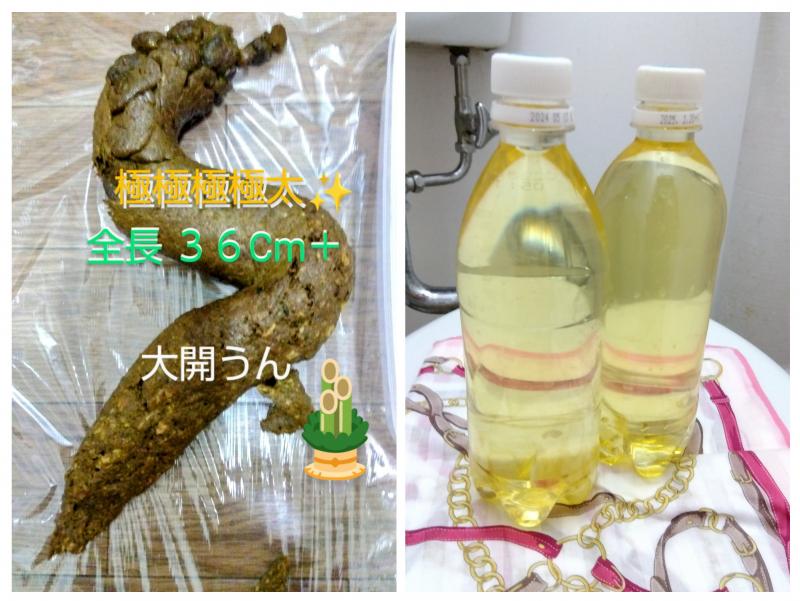 出品者名-写真-1